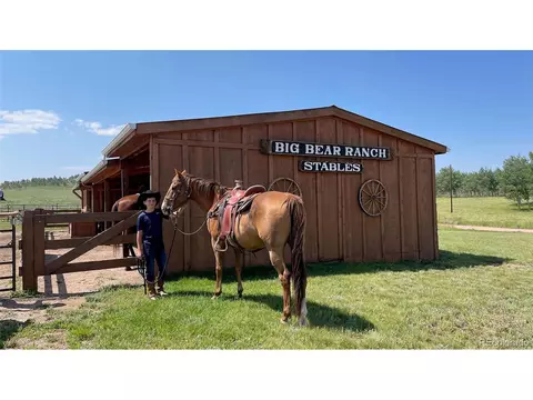 Undisclosed, Guffey, CO 80820 photo 4