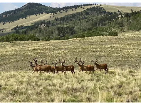Undisclosed, Guffey, CO 80820 photo 12
