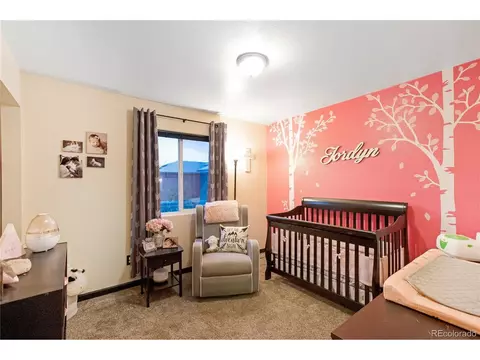 603 Kenosha Ct, Windsor, CO 80550 photo 22