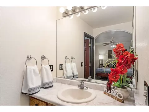 603 Kenosha Ct, Windsor, CO 80550 photo 20
