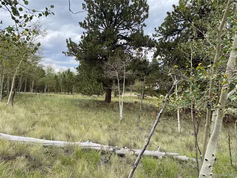 1179 Brahma Cir, Hartsel, CO 80449