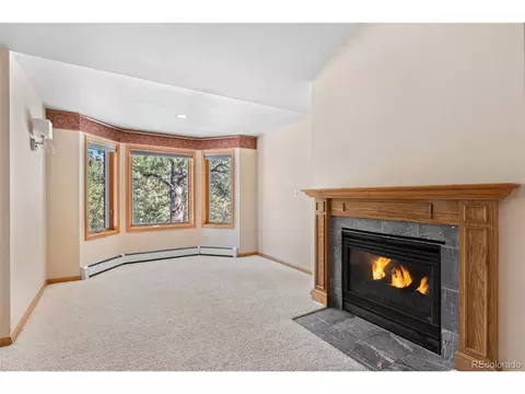 906 Conestoga Rd, Bailey, CO 80421 photo 22