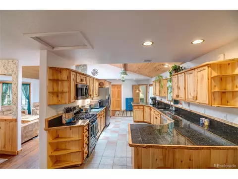 673 Mount Evans Blvd, Pine, CO 80470 photo 8