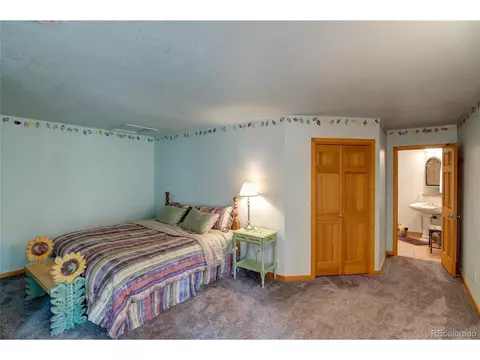 673 Mount Evans Blvd, Pine, CO 80470 photo 12