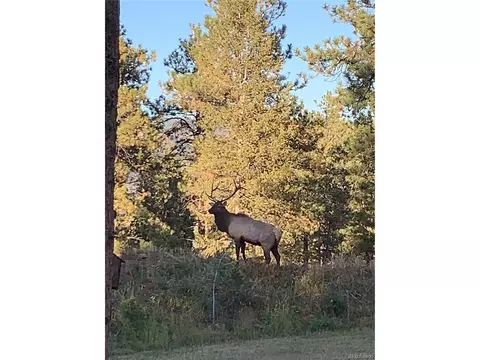 673 Mount Evans Blvd, Pine, CO 80470 photo 32