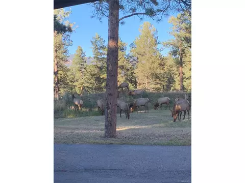 673 Mount Evans Blvd, Pine, CO 80470 photo 33