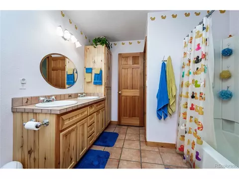 673 Mount Evans Blvd, Pine, CO 80470 photo 21