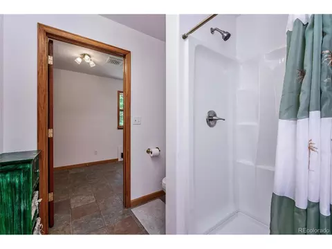 673 Mount Evans Blvd, Pine, CO 80470 photo 29