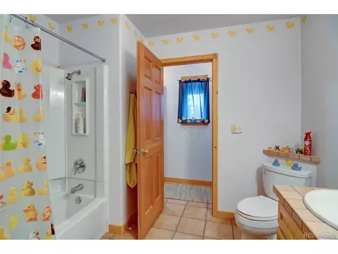 673 Mount Evans Blvd, Pine, CO 80470 photo 22