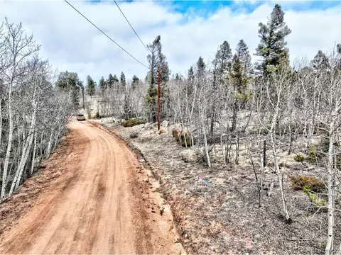 246 Elk View Rd, Lake George, CO 80827