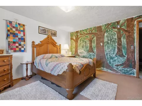 550 S Split Rock Rd, Bennett, CO 80102 photo 18