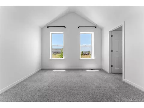 10297 E 56th Pl, Denver, CO 80238 photo 23
