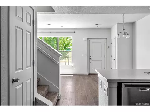 10297 E 56th Pl, Denver, CO 80238 photo 20