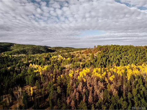 Undisclosed, Woodland Park, CO 80863