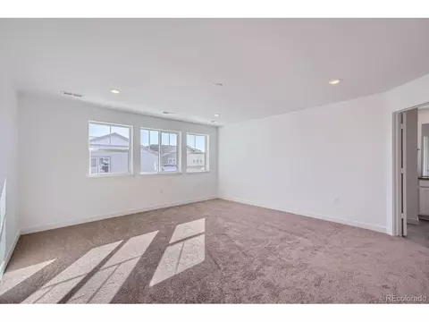 4620 Thistle Dr, Brighton, CO 80601 photo 7
