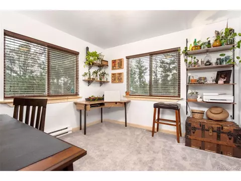 591 Gunsmoke Dr, Bailey, CO 80421 photo 20