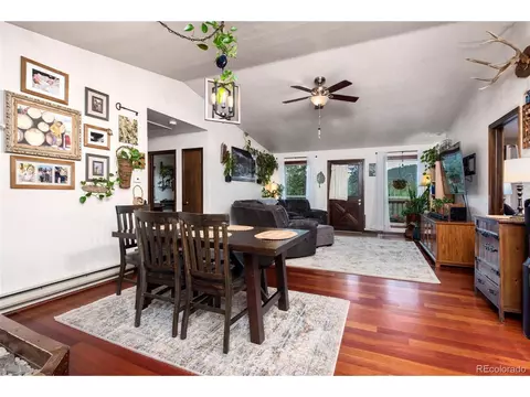 591 Gunsmoke Dr, Bailey, CO 80421 photo 10
