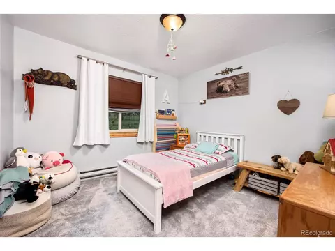 591 Gunsmoke Dr, Bailey, CO 80421 photo 18