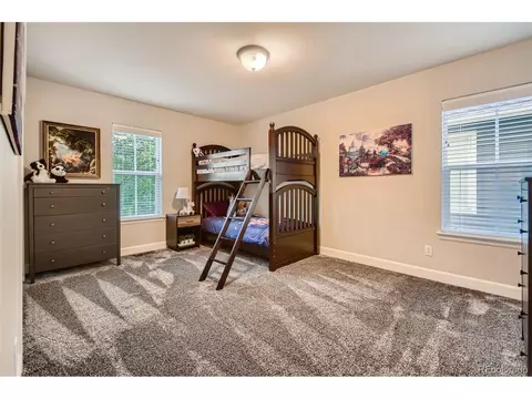 9028 E 25th Dr, Denver, CO 80238 photo 22
