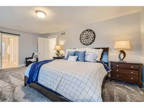 9028 E 25th Dr, Denver, CO 80238 photo 20
