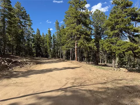 4 Pewabic Mine Rd, Central City, CO 80427