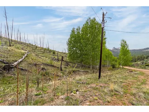 1 Columbine Cir, Woodland Park, CO 80863