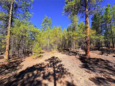 323 Aspen Dr, Leadville, CO 80461
