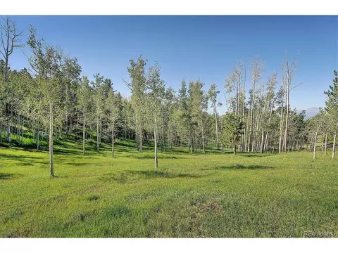 620 Junkins Loop, Westcliffe, CO 81252 photo 2