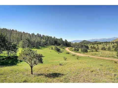 620 Junkins Loop, Westcliffe, CO 81252 photo 6