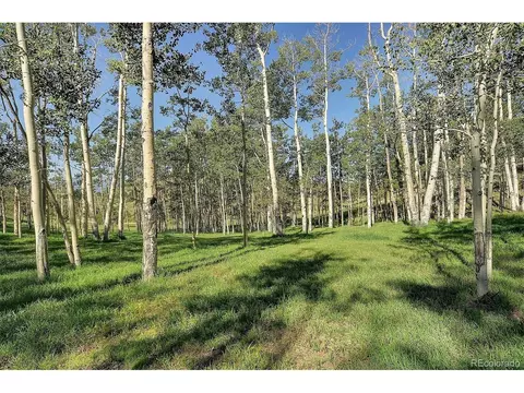 620 Junkins Loop, Westcliffe, CO 81252 photo 4