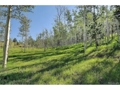 620 Junkins Loop, Westcliffe, CO 81252 photo 3