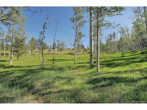 620 Junkins Loop, Westcliffe, CO 81252 photo 39