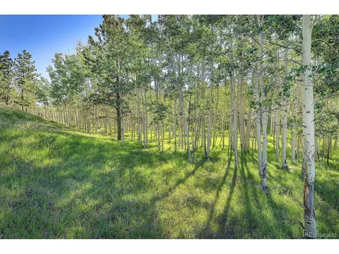 620 Junkins Loop, Westcliffe, CO 81252 photo 5