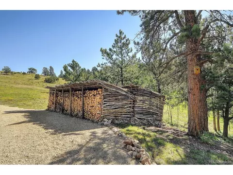 620 Junkins Loop, Westcliffe, CO 81252 photo 7