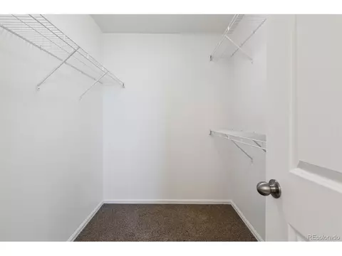 Other - 719 Elk Mountain Dr, Windsor, CO 80550 photo 3 of 6
