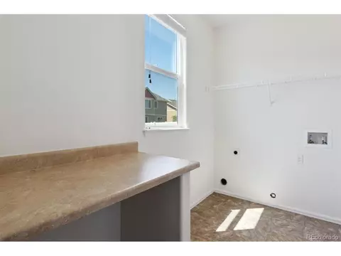 Other - 719 Elk Mountain Dr, Windsor, CO 80550 photo 1 of 6
