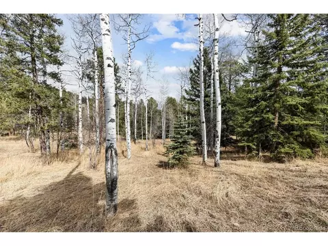 Exterior - 19184 Silver Ranch Rd, Conifer, CO 80433 photo 5 of 9