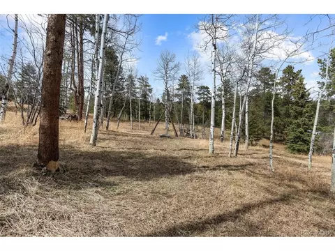 Exterior - 19184 Silver Ranch Rd, Conifer, CO 80433 photo 6 of 9