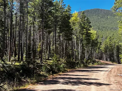 3443 Drexler Pl, Fort Garland, CO 81133