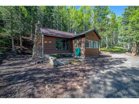 41 Forest Haven Ln, Idaho Springs, CO 80452
