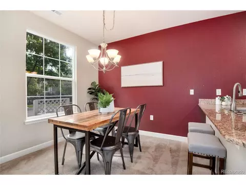 9042 E 24th Pl #101, Denver, CO 80238 photo 10
