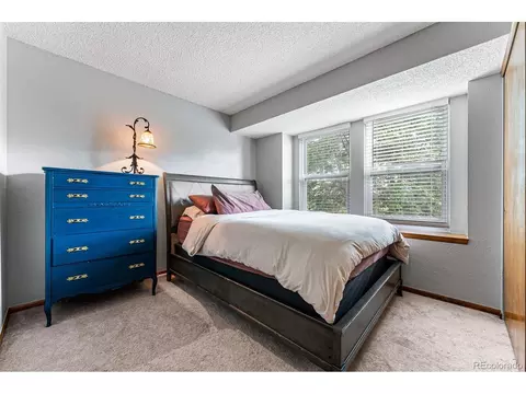 10710 Dexter Dr, Thornton, CO 80233 photo 24