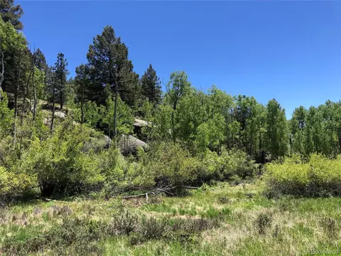 741 Pinon Ln, Florissant, CO 80816