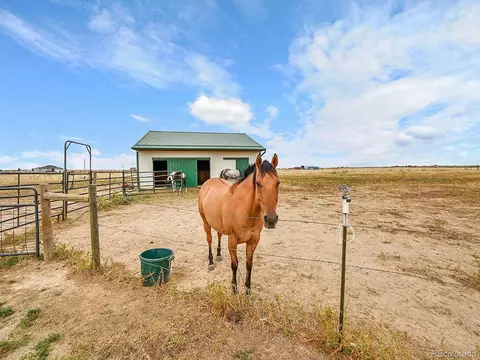 10660 Schumaker Rd, Bennett, CO 80102 photo 29
