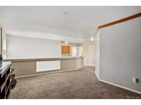 19686 E 50th Ave, Denver, CO 80249 photo 16
