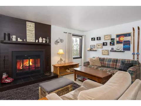 91100 Ryan Gulch Rd #91107, Silverthorne, CO 80498