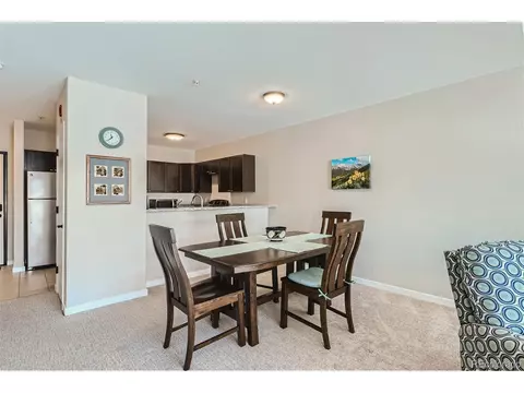 256 Dillon Ridge Rd #A22, Dillon, CO 80435 photo 4