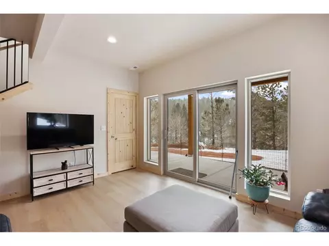 124 Kernite Ln, Divide, CO 80814 photo 21