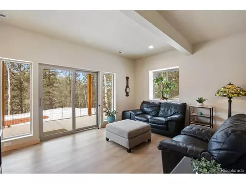 124 Kernite Ln, Divide, CO 80814 photo 19