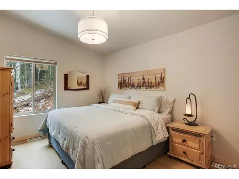 124 Kernite Ln, Divide, CO 80814 photo 13
